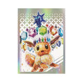 Eevee Prismatic Evolutins sleeves